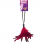 pleasure feather