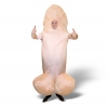 Opblaasbare Wilfried Willy