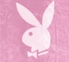 Playboy strandlakens