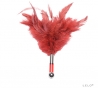 Lelo Tantra Feather